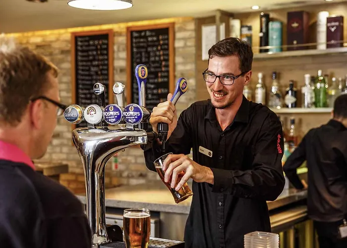 Hôtel accueillant les animaux: Ibis Edinburgh Centre South Bridge - Royal Mile